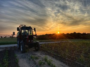 MTZ 80 & Krukowiak Heros