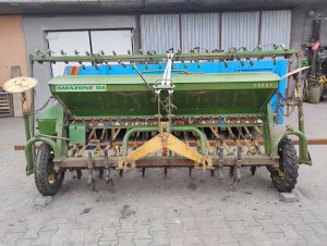 Amazone