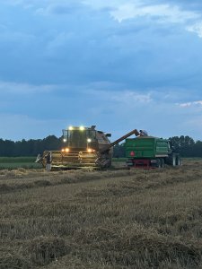 Bizon Gigant z083