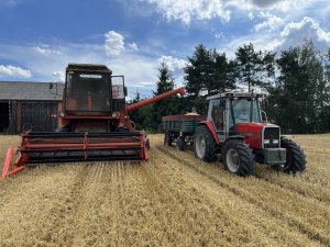 Bizon Z056 i Massey Ferguson 3050
