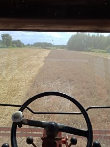 Bizon Z056 Super - jęczmień ozimy KWS Kosmos