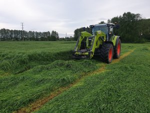 Claas Arion 430