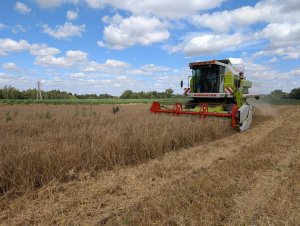 Claas Dominator 88 Classic