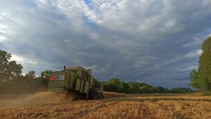 Claas Mercator