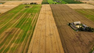 KWS Donovan po 160l deszczu w lipcu