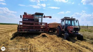 Massey Ferguson 530S & Massey 3050 + Miedema
