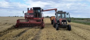 Massey Ferguson 530S & Massey Ferguson 3050 & Miedema