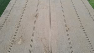 Pszenica Essa, Optimist, Cayenne i Specialist