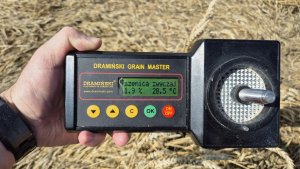 pszenica ozima Andorre pomiar z ręki 