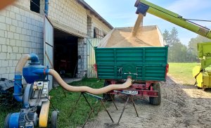 Rozładunek jęczmienia