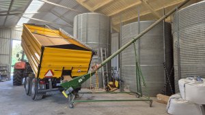 rozładunek pszenicy 