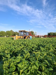 Ursus C-360-3p & Biardzki 600/12