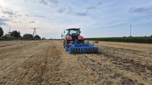 uprawa ścierniska po pszenicy 