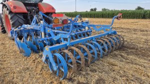 uprawa ścierniska po pszenicy 