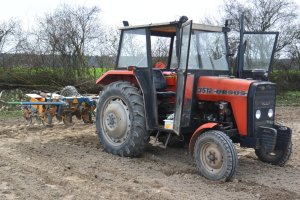Ursus 3512 w trackie siewu buraka