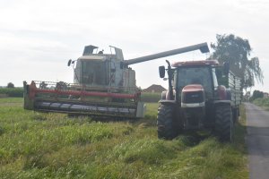 Żniwa rzepakowe Case Puma 170 podczas żniw