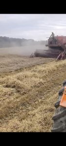 Więcej informacji o „Bizon Z056 w pszenżycie”