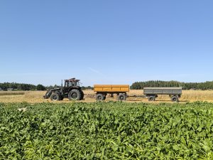 Case International 845xl