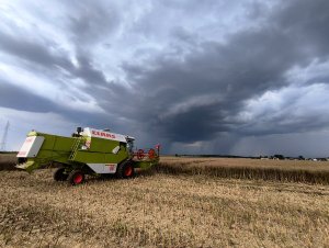 Claas Dominator 96