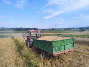 Przyczepa jednoosiowa & Ursus C-360