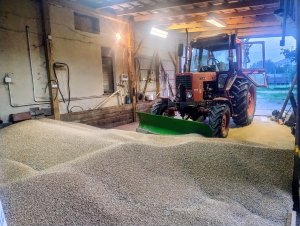 MTZ 82 & Pług do śniegu