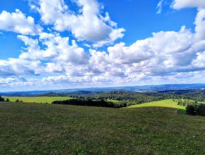 Widok z góry  Przymiarki