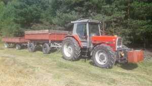 Massey Ferguson 3095 & dwie polskie przyczepy