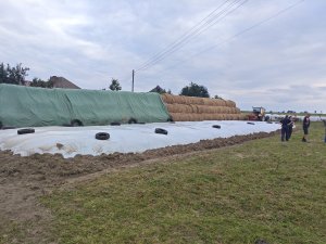 Pryzma sianokiszonki