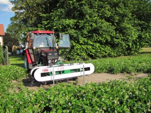 Przewracarka do fasoli 2 FMR Lublin