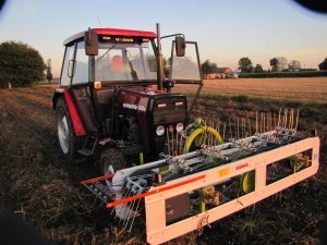 Przewracarka do fasoli Claas