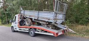 Rozrzutnik Czarna Białostocka 