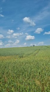 Sprzedam działkę rolna gm. Sobków 1,86ha