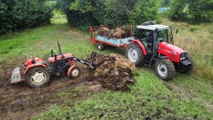Ursus C-330M & Massey Ferguson 6255 + Mengele