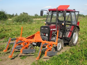 Wycinarka do fasoli & Ursus i Tuz