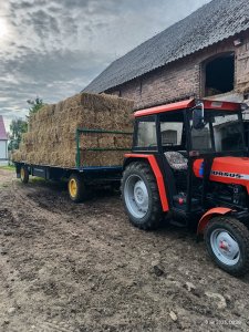 Zwożenie kostek słomy