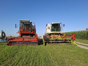 Bizon i Claas 