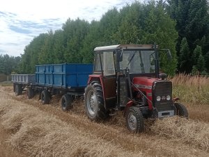 Massey Ferguson 255 z przyczepami autosan