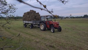 Ostatnie siano w 2025