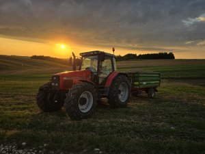 MF 6290 + PRONAR T654/1