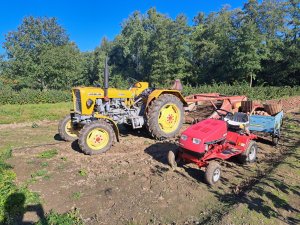 Ursus C-328 z kopaczką do ziemniaków 