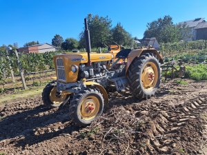 Ursus C-328 z kultywatorem