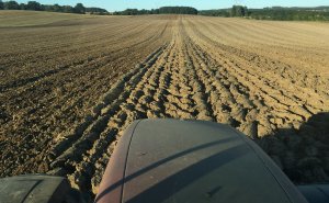 Vaderstad Rollex uprawa