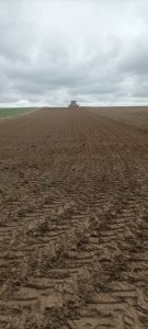 Zasiew pszenicy ozimą  23 września 2025