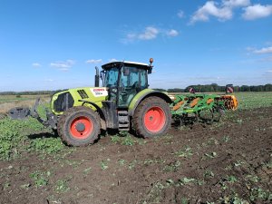 Amazone Cenius 3003 z Arion 620