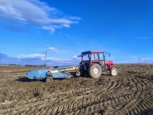 Kopaczka elewatorowa & Ursus C-360