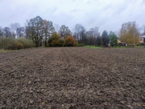 Uprawione ściernisko po soi