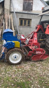 Lely + poznaniak 2.5M