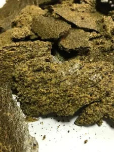 makuch rzepakowy.webp