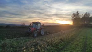 Massey ferguson 3060 & agregat talerzowy