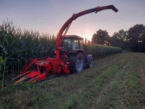 Massey Ferguson 6245 + Pöttinger Mex Profi K